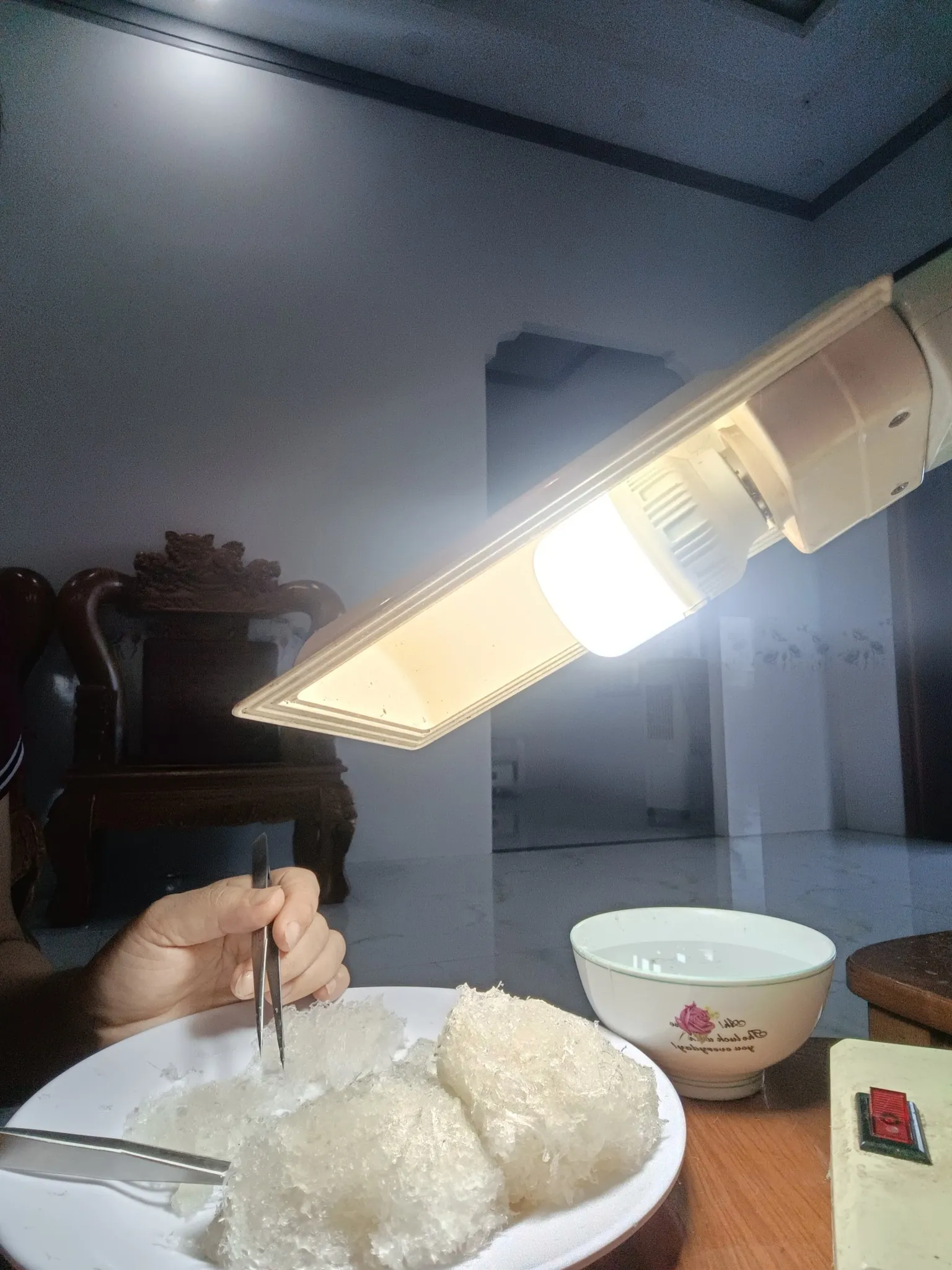 Yến Thô Loại 1 Đặc Biệt